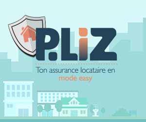 300×250 – Aedes Pliz